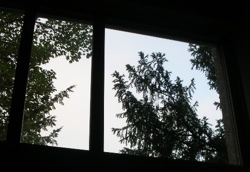 Fenster_Goethe500x345.jpg